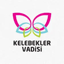 Taşdemir Safety Referans