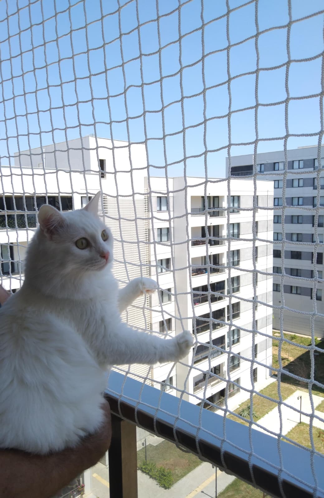 KEDİ FİLESİ 4 X 4 CM GÖZ ARALIKLI 4 MM İP KALINLIĞINDA